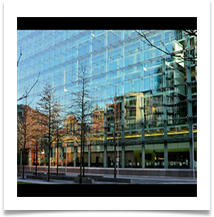 Family Law - Bill Rigby